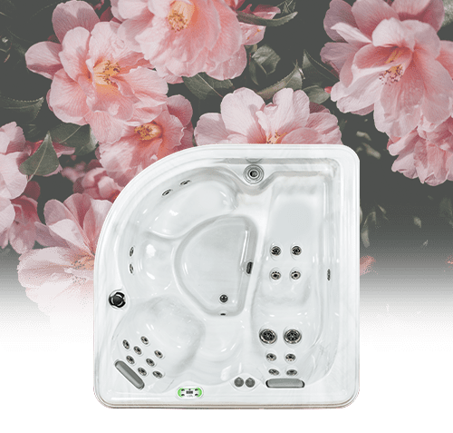 Camellia